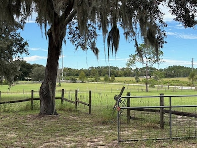 22134 Obrien Rd, Howey-In-the-hills, FL 34737 - photo 4