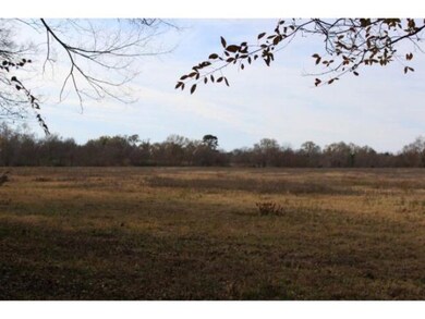 TBD County Road 122, Nacogdoches, TX 75965 - photo 3