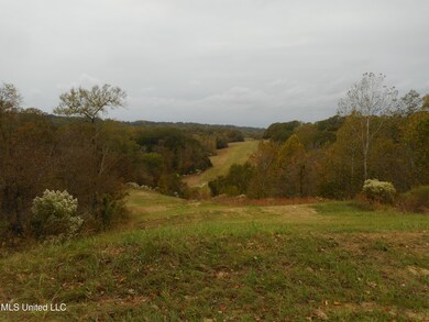 DSCN1767