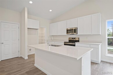 1019 Westhaven Blvd, Wentzville, MO 63385 - photo 6