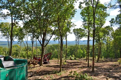 unlisted-address, Egremont, MA 12529 - photo 5