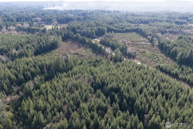 0 NKA Highway 101, Hoquiam, WA 98550 - photo 3