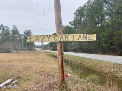 Lazy Oak Lane Street Sign