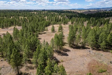 Lot 5 Prairie Ln N, Creston, WA 99117 - photo 5