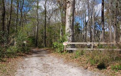 LOT 8 Santa fe Dr, Fort White, FL 32038 - photo 3