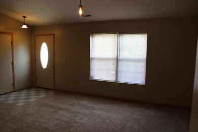 6806 Laburnum Dr, Canal Winchester, OH 43110 - photo 3