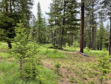 235 Highland Meadow Rd, Kila, MT 59920 - photo 5