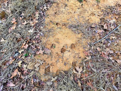 46 Wind Haven, Gordonville, TX 76245 - photo 7