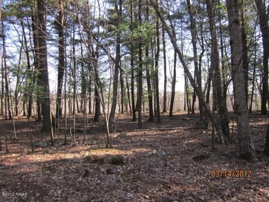 50 Song Mtn Dr, Tafton, PA 18464 - photo 7