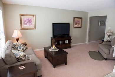 LIVING ROOM  NUETRAL PLUSH CARPET...SOFT SAGE WALL