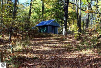 132 W Ridge Cir, Le Roy, MI 49655 - photo 5