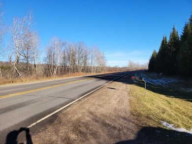 ON Cth A, Deerbrook, WI 54424 - photo 5