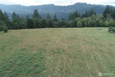 290 Wilkinson Rd, Ariel, WA 98603 - photo 2