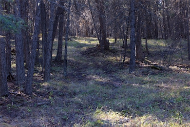 10 Acres Gut Creek Rd, Rexford, MT 59930 - photo 2