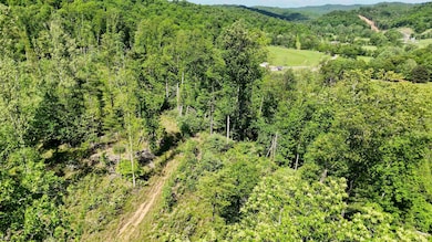 50 Wine Ln, West Union, WV 26456 - photo 7