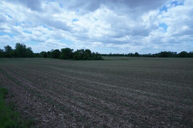 DSC02358