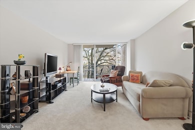 The Carlton unit 207, Arlington, VA 22204 - photo 7