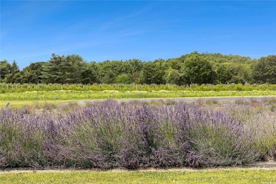 Lavender - Combined property 27.07 acres