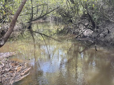 0 Stanford Lake Rd unit 140592, Poplarville, MS 39470 - photo 7