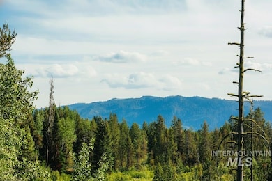 View of mountain background with a forest