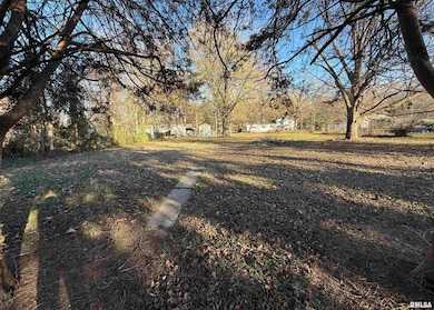 432 N Seba St, Hurst, IL 62949 - photo 3