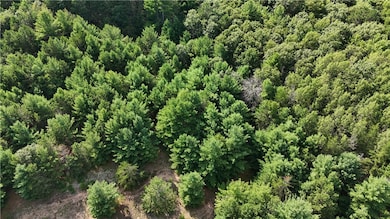 Lot 5 Fosmo, Webster, WI 54893 - photo 6