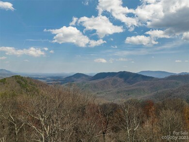187 Arcadia Falls Way unit 77, Black Mountain, NC 28711 - photo 3
