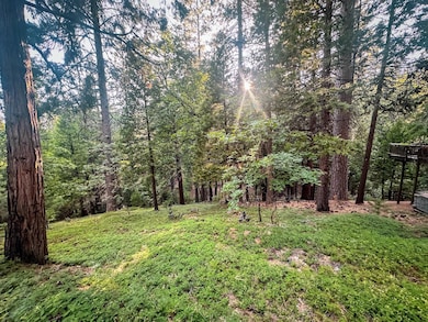 1800 Kit Carson Cir, Arnold, CA 95223 - photo 3