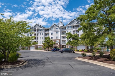 900 Marshy Cove, Cambridge, MD 21613 - photo 2