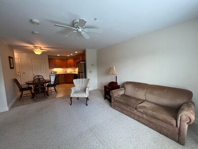 7 Crescent Way unit 203, Sturbridge, MA 01518 - photo 7