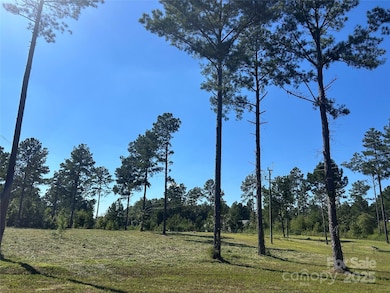 2.20 AC Harmony Church Rd unit 1, Edgemoor, SC 29712 - photo 4