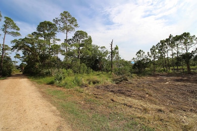 20 George Vause Rd, Alligator Point, FL 32346 - photo 6