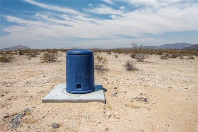 2650 Delaware Ave, Joshua Tree, CA 92252 - photo 2