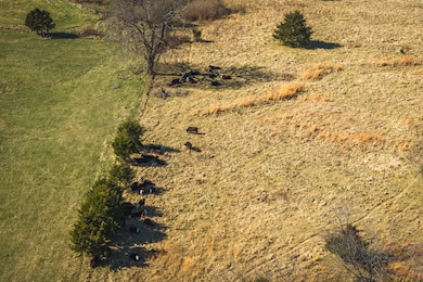 DJI_20241116120630_0529_D