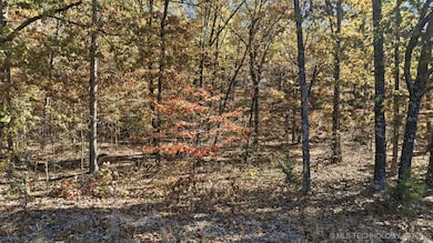 0 S Qualls Rd unit 2543872, Park Hill, OK 74451 - photo 6