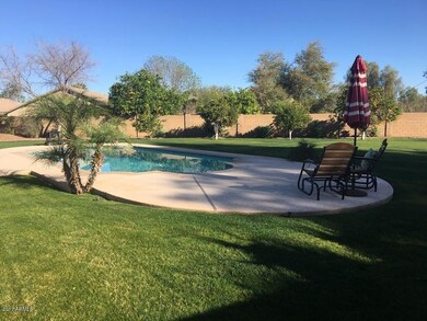 HUGE Rear Yard
