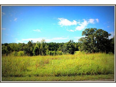 20988 Double Tree Crossing, Springdale, AR 72762 - photo 4