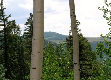 DSCN1504.JPG
