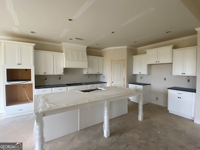 Actual photo of the Gorgeous kitchen