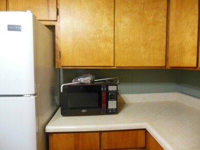 129 Larue St, Reeds Spring, MO 65737 - photo 7