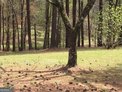 1305 & 1307 Highway 54, Fayetteville, GA 30214 - photo 3