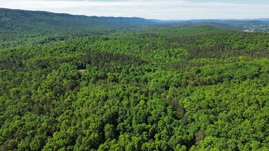 0 E Armuchee Rd unit 1512840, Lafayette, GA 30728 - photo 6