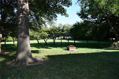 Open green space in backyard