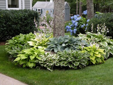 264 Hill And Plain Rd, Falmouth, MA 02540 - photo 7