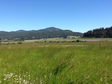 field
