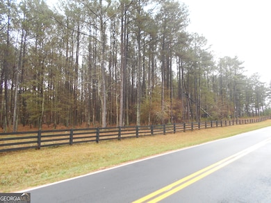 +/- 7 ACRES Youth Jersey Rd, Covington, GA 30014 - photo 5