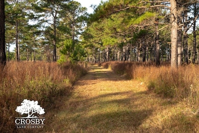 0 Reverend Jw Carter Rd, Manning, SC 29102 - photo 3