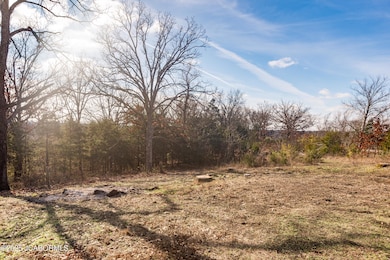 9112 Bode Ferry Rd, Jefferson City, MO 65101 - photo 7
