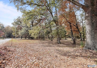 1.77 Ac Riverview Cir, Scottsboro, AL 35769 - photo 7