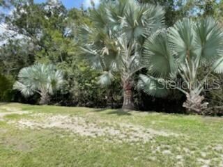6015 Eureka Springs Rd, Tampa, FL 33610 - photo 3